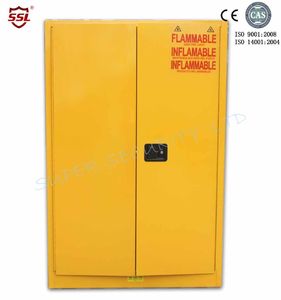 SSLSAFES | Kimyasal Depolama Kabinleri
 | Industrial Safety Flammable Storage Cabinet with new paddle lock - 1