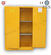 SSLSAFES | Kimyasal Depolama Kabinleri
 | Industrial Safety Flammable Storage Cabinet with new paddle lock - 1