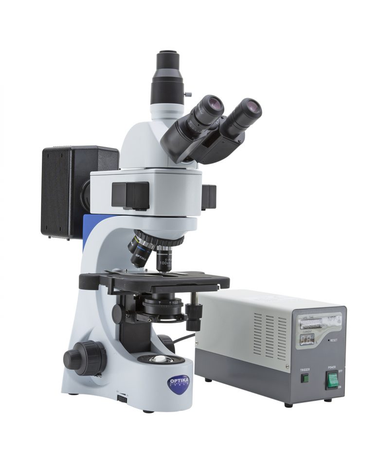 OPTIKA | Laboratuvar Mikroskopları | FLUO Series - 1