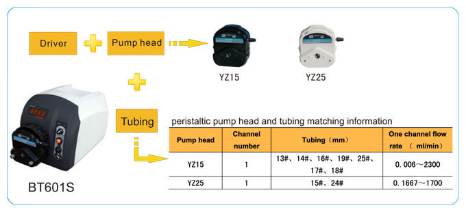 LEAD FLUID | Temel Hız - Değişken Peristaltik Pompa | BT601S Basic Speed - 1
