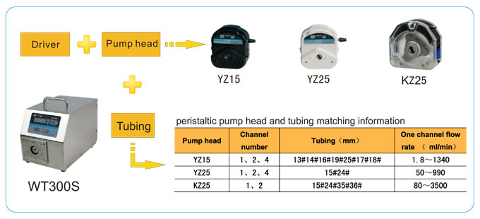 LEAD FLUID | Temel Hız - Değişken Peristaltik Pompa | WT300S Basic Speed - 1