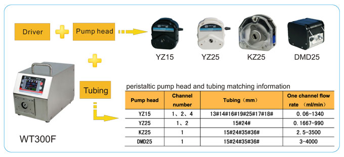 LEAD FLUID | Akıllı Dağıtım Peristaltik Pompa | WT300F - 1