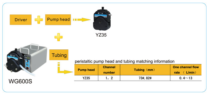 LEAD FLUID | Akıllı Endüstriyel Peristaltik Pompa | WG600S Industrial Speed - 1