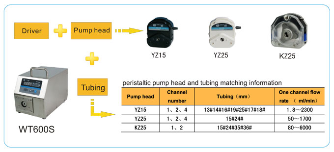 LEAD FLUID | Temel Hız - Değişken Peristaltik Pompa | WT600S Basic Speed - 1