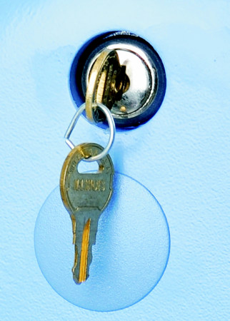 THERMOSCIENTIFIC | Ultra Düşük Dondurucu Aksesuarları
 | Forma™ Key Lock - 1