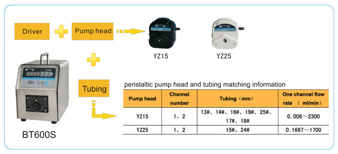 LEAD FLUID | Temel Hız - Değişken Peristaltik Pompa | BT600S Basic Speed - 1