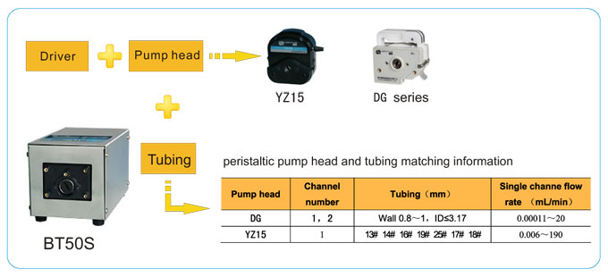 LEAD FLUID | Temel Hız - Değişken Peristaltik Pompa | BT50S Micrometeror Speed - 1