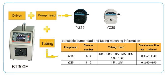 LEAD FLUID | Akıllı Dağıtım Peristaltik Pompa | BT300F - 1