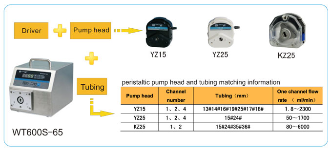 LEAD FLUID | Temel Hız - Değişken Peristaltik Pompa | WT600S-65 Basic Speed - 1